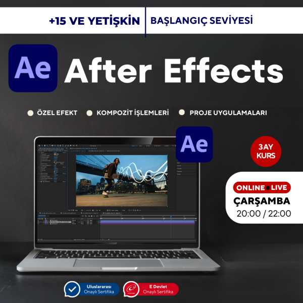 After Effects ( Online ) Temel Seviye