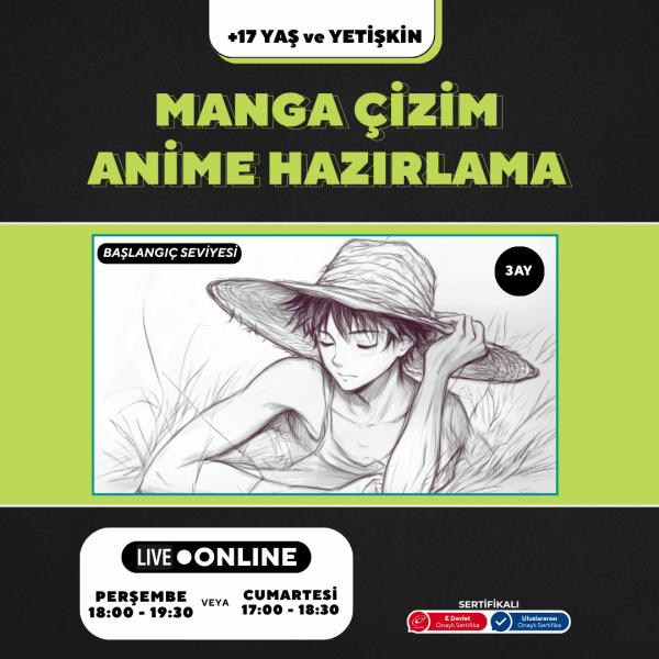 Manga ve Anime (17 Yaş ve Yetişkin)