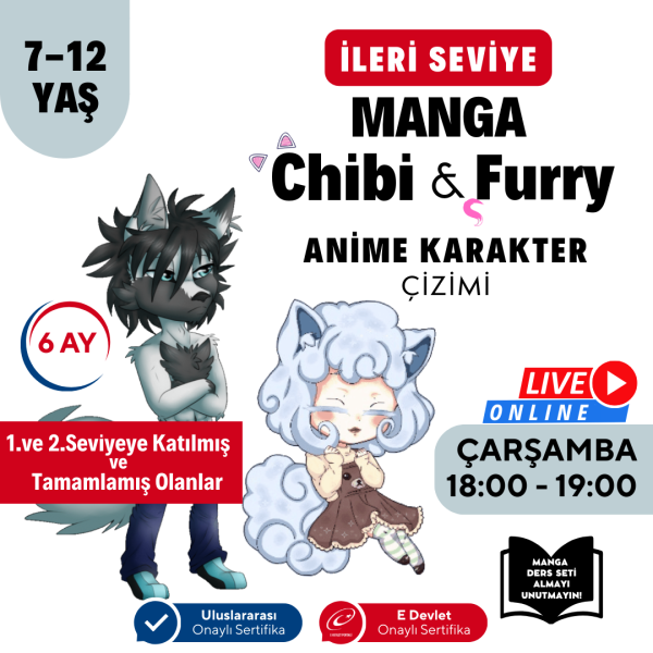 Chibi & Furry Çizim (7-12 Yaş)(İleri Seviye) 3 Aylık - 2 Sertifikayı İstiyorum