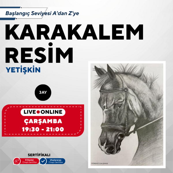 Karakalem Resim (Yetişkin)