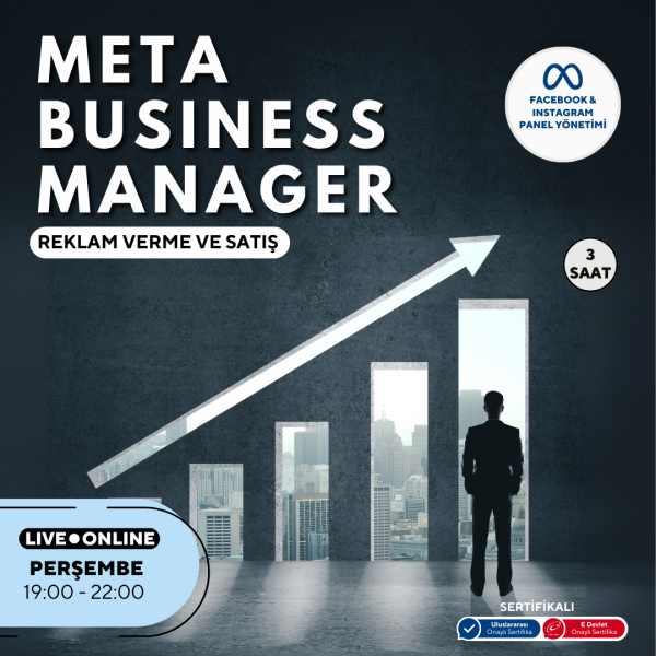 Meta Business Manager (Panel Yönetimi)