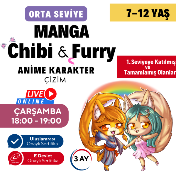 Chibi & Furry Çizim  (7-12 Yaş)(orta seviye)