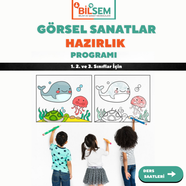 BİLSEM Görsel Sanatlar Hazırlık Programı - Yüz yüze