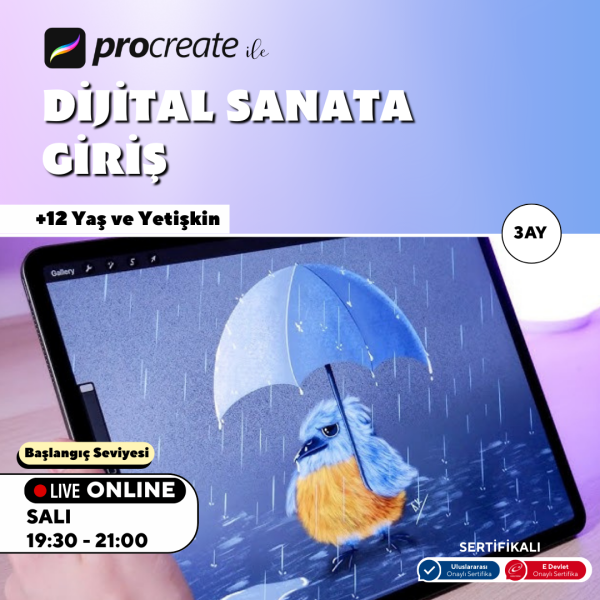 Procreate ile Dijital Sanata Giriş (+12 Yaş ve Yetişkin)