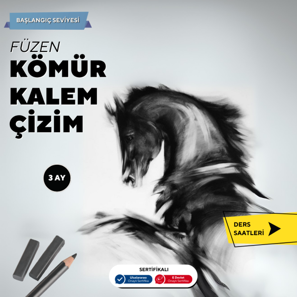 Füzen Kömür Kalem Çizim ( yüz Yüze )