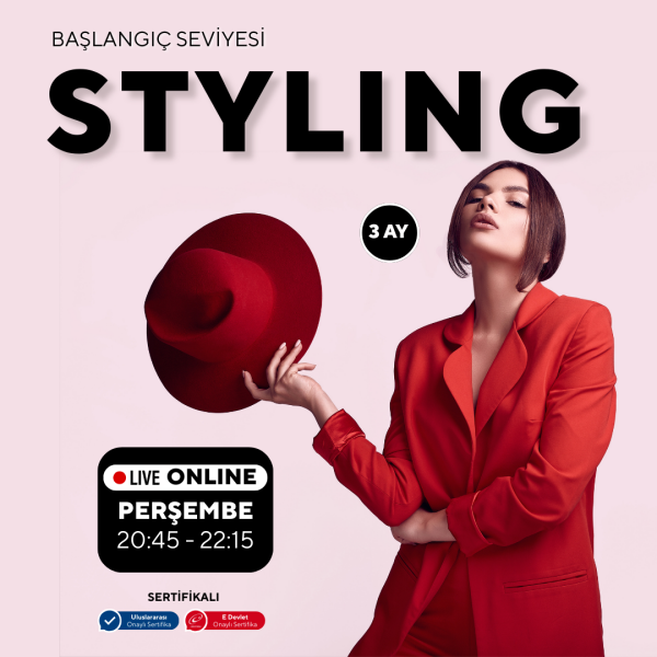 Styling -Baslangıç seviyesi